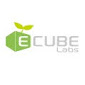 Ecube Labs
